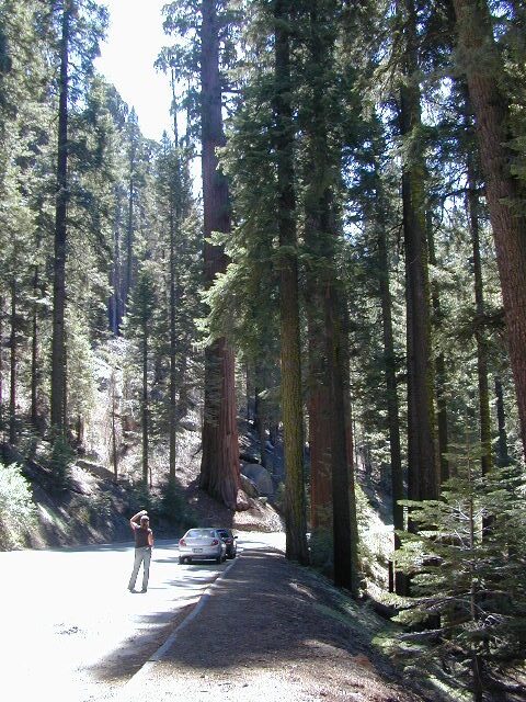 Sequoia Kings Canyon Maps
