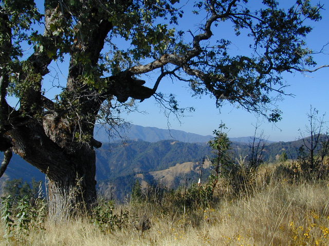 Los Padres Forest Atlas