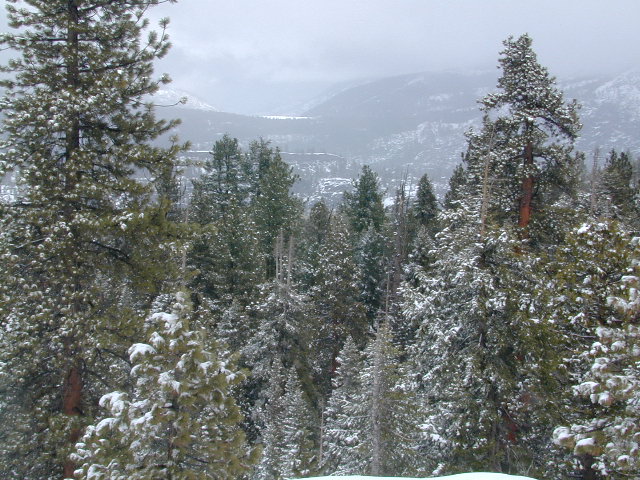 Sierra Nevada Snow Views
