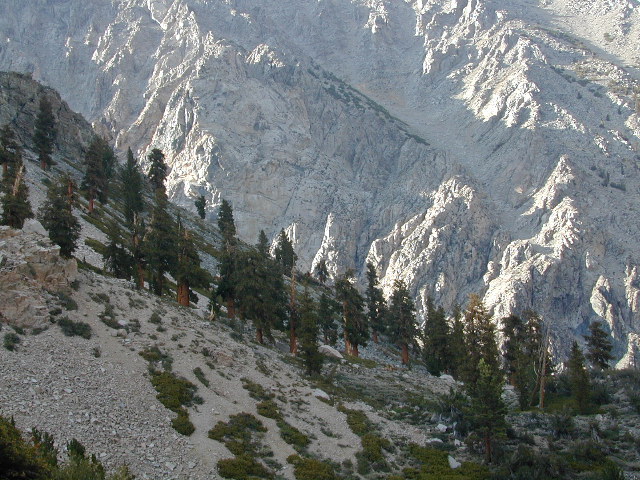 Kings Canyon Wilderness Map