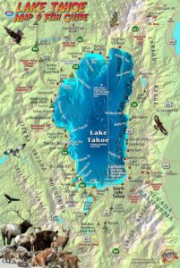 Franko Map Tahoe Fish