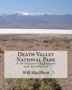 wildflowers death valley