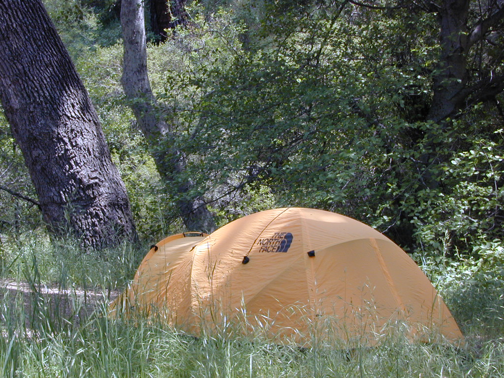 northface tent
