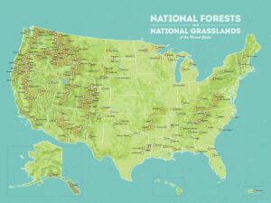USA_NF_lands